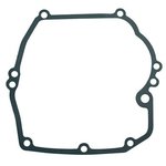 Tarpinė karterio, Briggs&Stratton