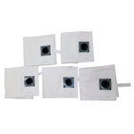 Disposal bag for H-class filter bags, antistatic 5pcs dryCAT dryCAT 133 IC H, Cleancraft