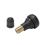 Tubless valve, OREGON