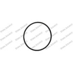 O-ring NH 14465380, Granit