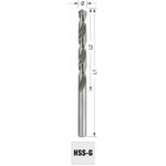 Metāla urbis DIN338 HSS-G Ø10,0x133mm 10gab., Exact