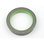 Blīvslēgs, Dana Incorporated