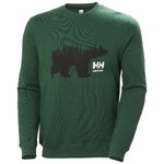 Džemperis Graphic, zaļš, S, Helly Hansen Workwear