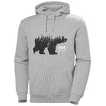 Hoodie Graphic, grey L, Helly Hansen Workwear