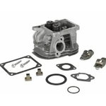 HEAD-CYLINDER, Briggs&Stratton