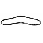 Belt, TVH