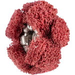 Non-woven cross buff PNST POLINOX 19/2mm A280, Pferd