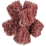 Non-woven cross buff PNST Polinox 50mm/2 A100, Pferd