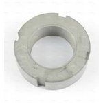 RING NUT, Dana Incorporated