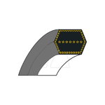 KIILAHIHNA  AA86, EuroGarden