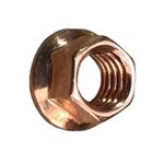 Nut, Kohler