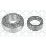 Gultnis TIMKEN JD39102, CHAPARRO