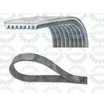 Siksna 8PK2475, CHAPARRO