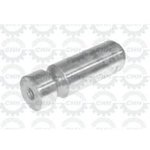Tapa30X99 L166724 OEM QUALITY, CHAPARRO