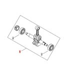 Crankshaft asy. PB-5810T, Echo