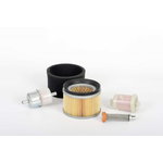 Maintenance kit for Kohler KD15-440 canopy engine, SDMO