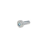 BOLT, TORX 5 CS-420, Echo