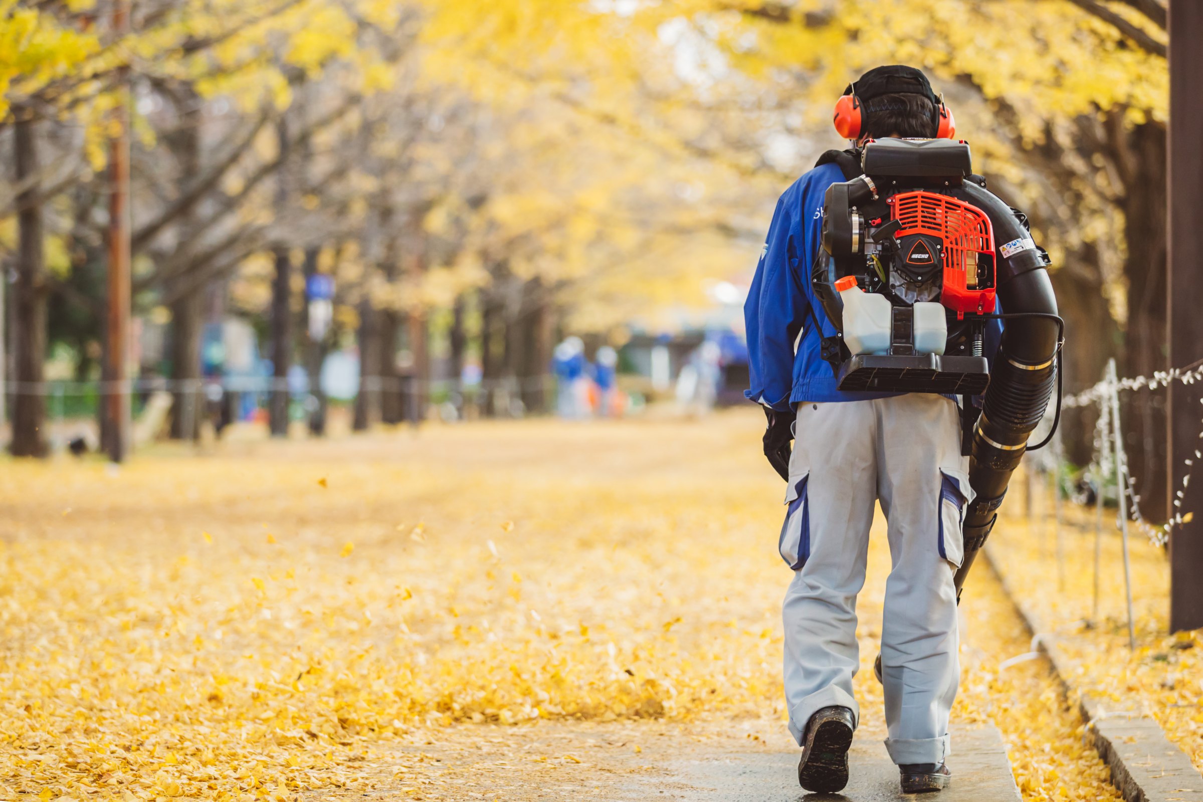 Kodėl verta rinktis lapų pūstuvą?