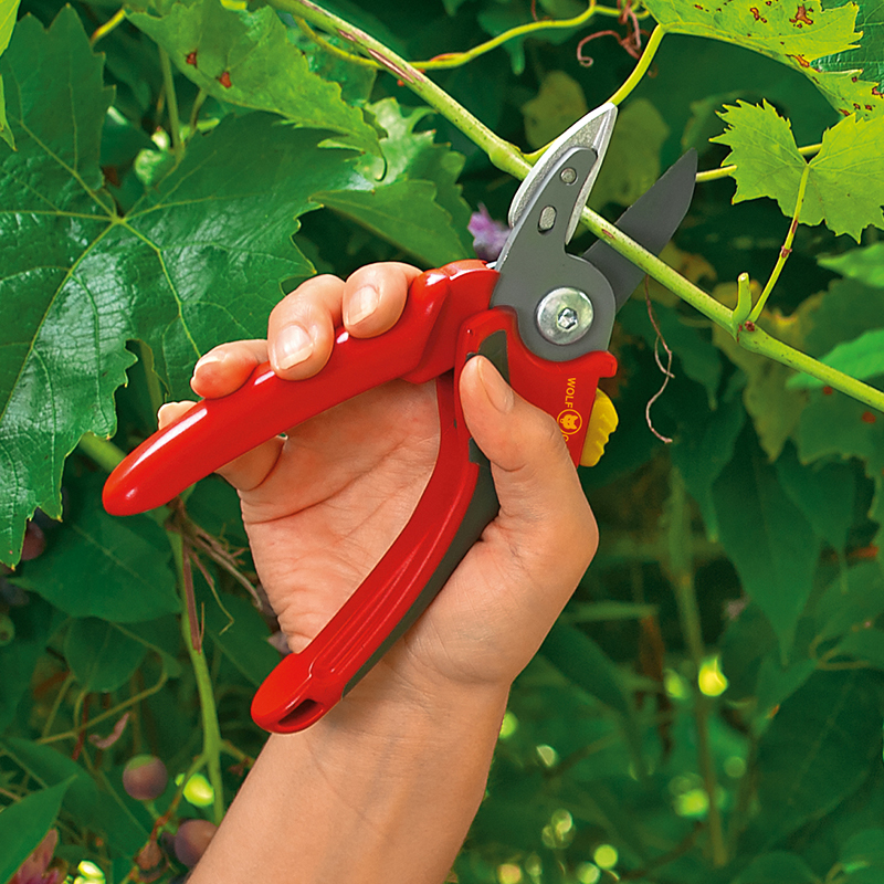 Sodo žirklės, genejimo ir žirklės