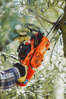 Uus Echo arboristisaag