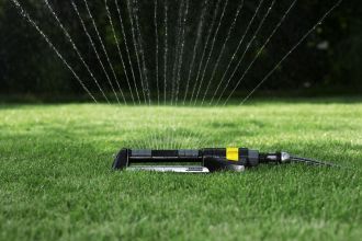 Zāliena laistīšana karstā laikā