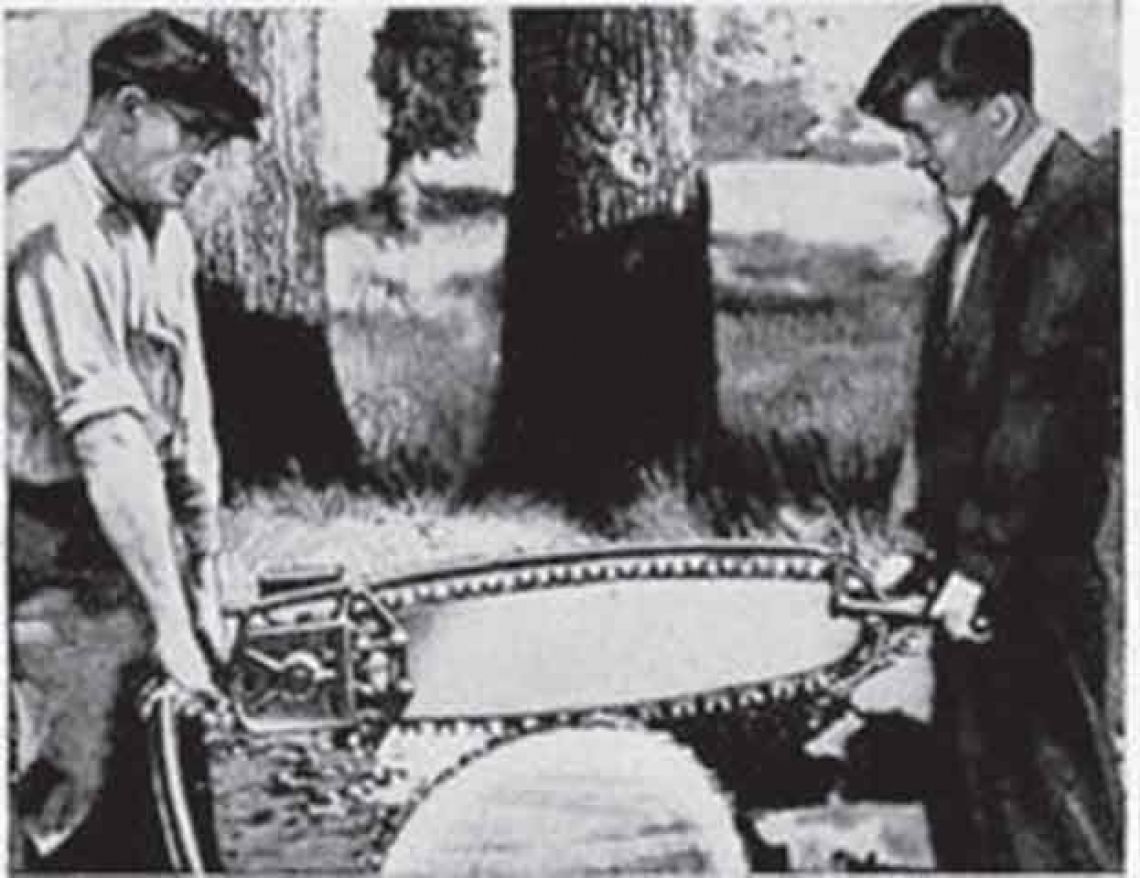 two-person-chainsaw.jpg