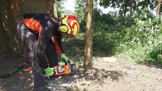 Kiek medžių akumuliatorinio pjūklo pagalba galima nupjauti vienu įkrovimu?