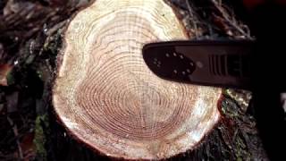 Grandinės tepimo patikra