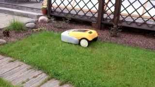 Cub Cadet robots mauriņa pļaušanai