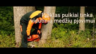 ECHO CS-370ES grandininis pjūklas 