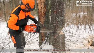 CS-620SX Eesti metsas