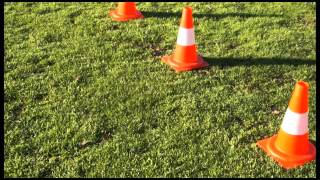 Worx mauriņa pļaujmašīnas - roboti